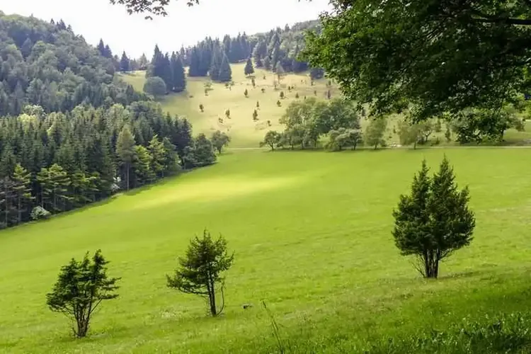 Balingen